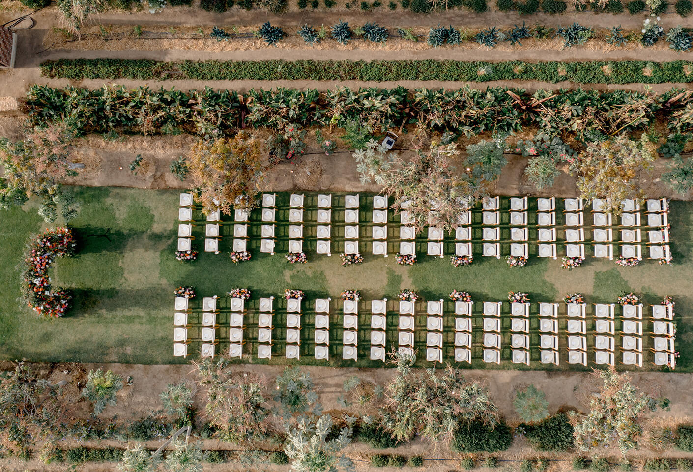 floral dream wedding flora farms