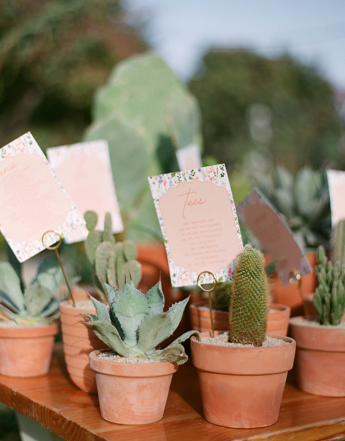 floral dream wedding flora farms