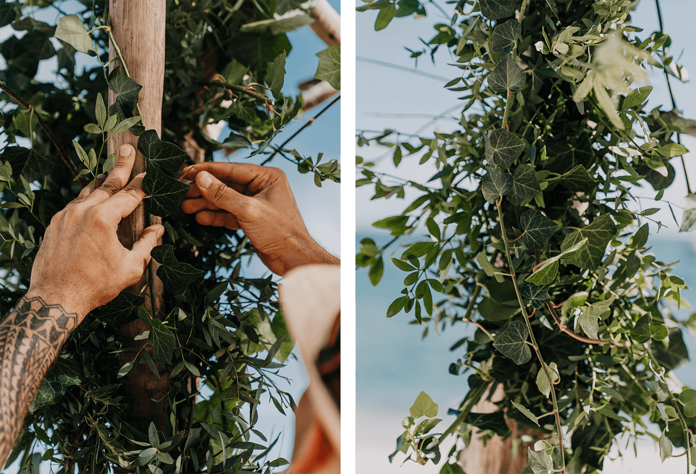 artistry behind remarkable florist